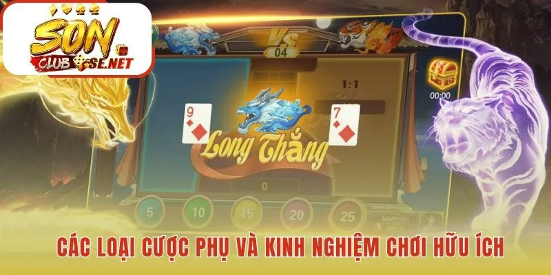 Cách chơi rồng hổ hiệu quả hơn với cược phụ và quản lý vốn